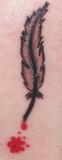 Quill_tat