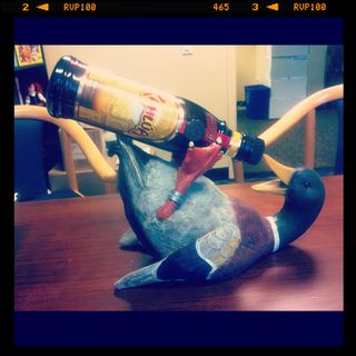 Duck
