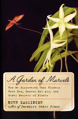 GardenOfMarvels_HC_c