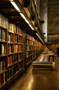Stacks-at-ny-library