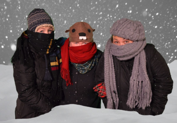 Snow Buzz Pic