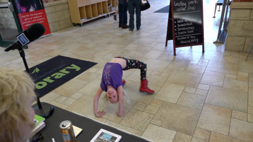 2019-08-22 Bozeman MT Library 4